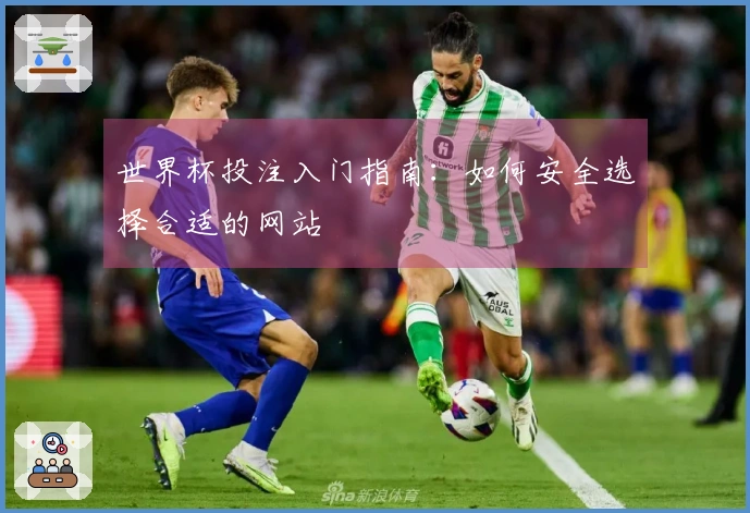 世界杯投注入门指南：如何安全选择合适的网站