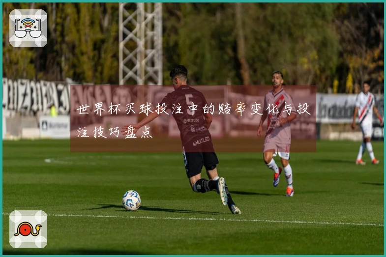 世界杯买球投注中的赔率变化与投注技巧盘点