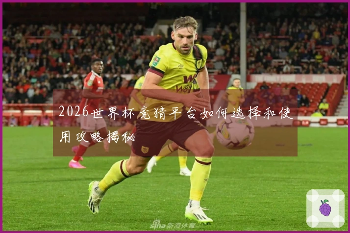 2026世界杯竞猜平台如何选择和使用攻略揭秘