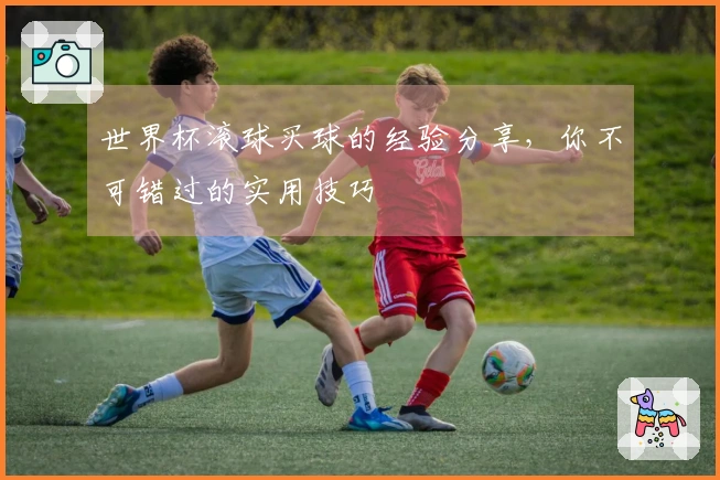 世界杯滚球买球的经验分享，你不可错过的实用技巧