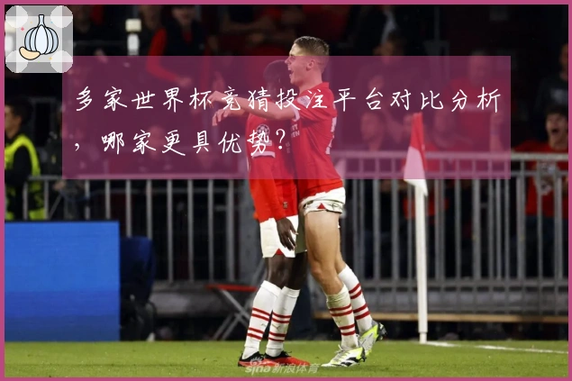 多家世界杯竞猜投注平台对比分析，哪家更具优势？