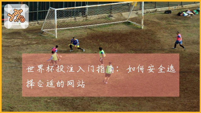 世界杯投注入门指南：如何安全选择合适的网站