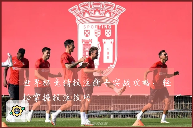 世界杯竞猜投注新手实战攻略，轻松掌握投注技巧