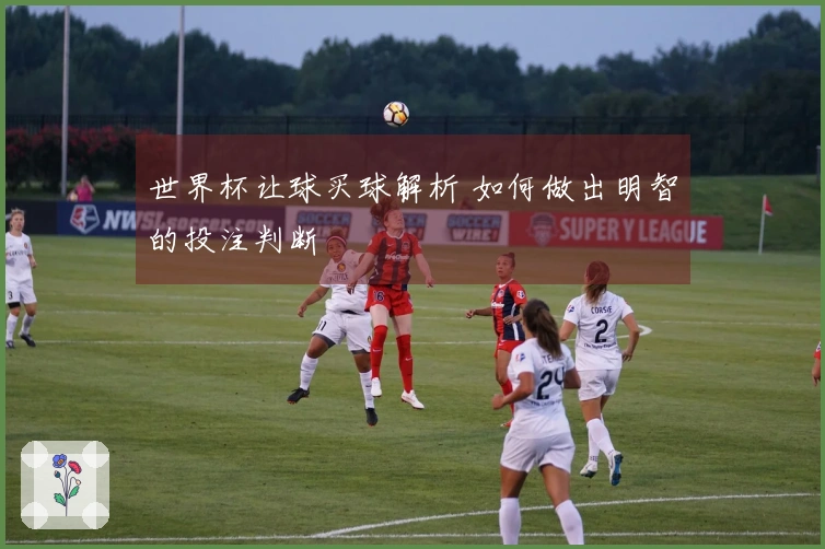世界杯让球买球解析 如何做出明智的投注判断