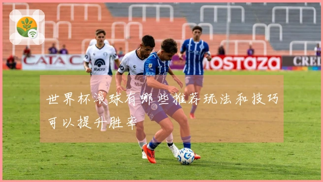 世界杯滚球有哪些推荐玩法和技巧可以提升胜率
